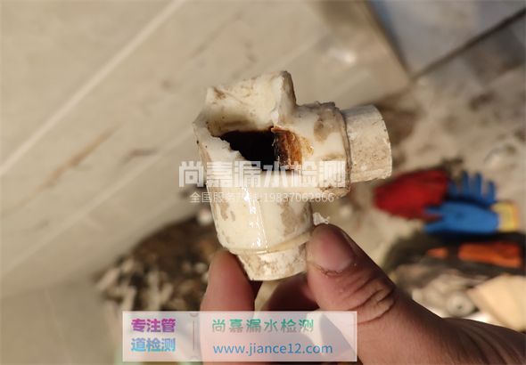 青冈引起漏水的原因有哪些？